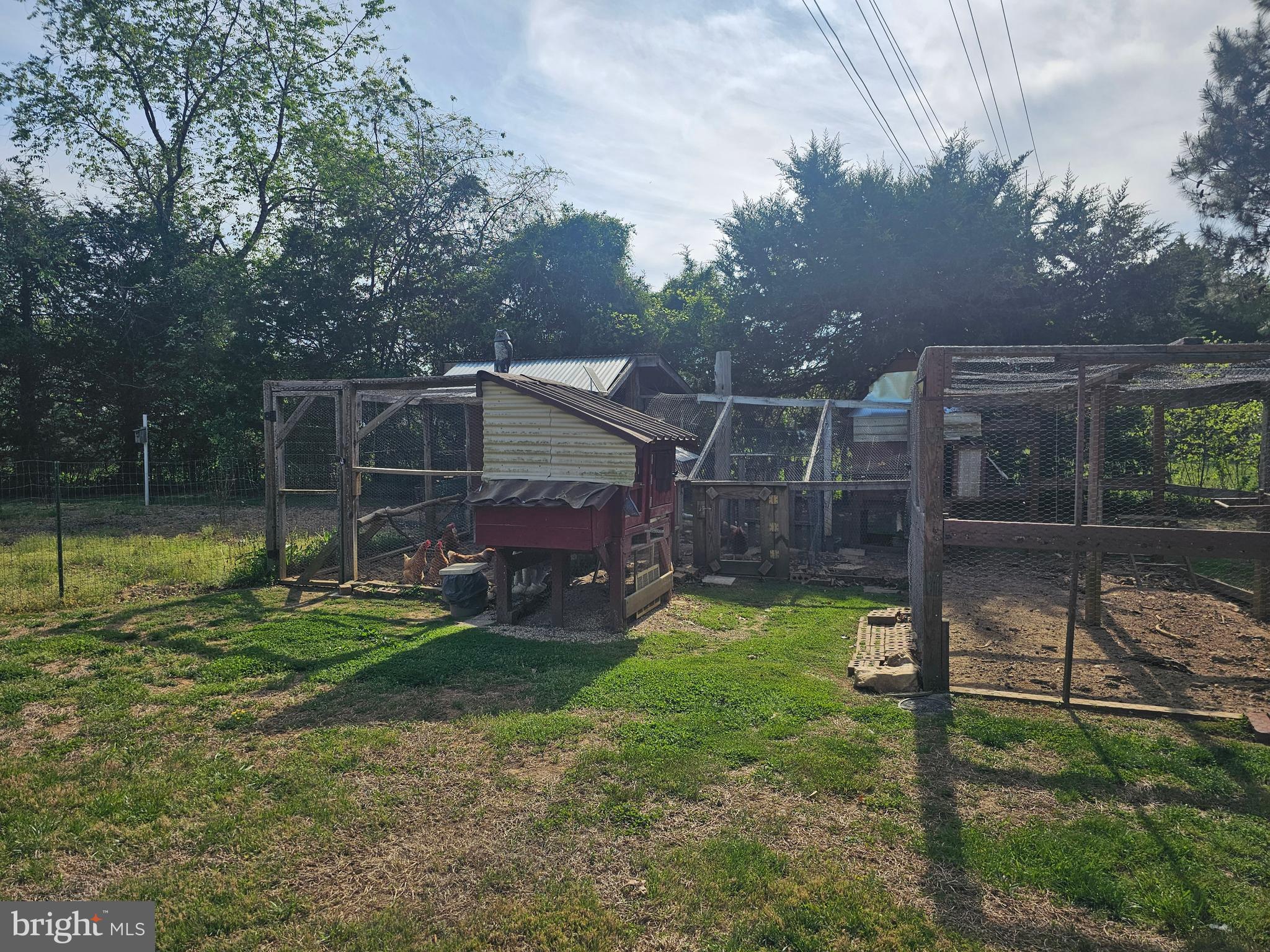 8421 Pamunkey Road Spotsylvania, VA 22551 - Photo 40 of 47 CHICKEN COOPS