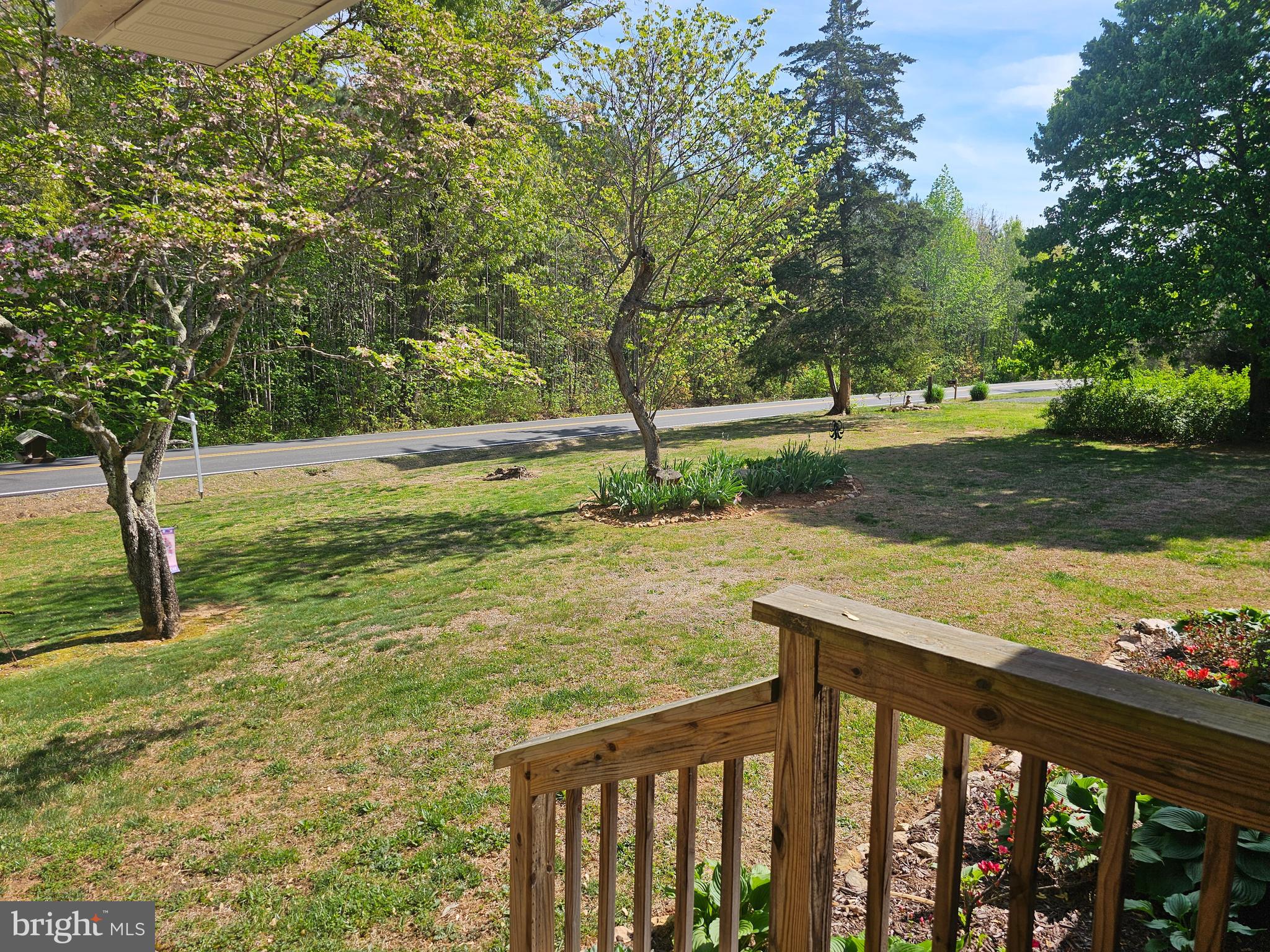 8421 Pamunkey Road Spotsylvania, VA 22551 - Photo 4 of 47 VIEW OF FRONT YARD FROM PORCH