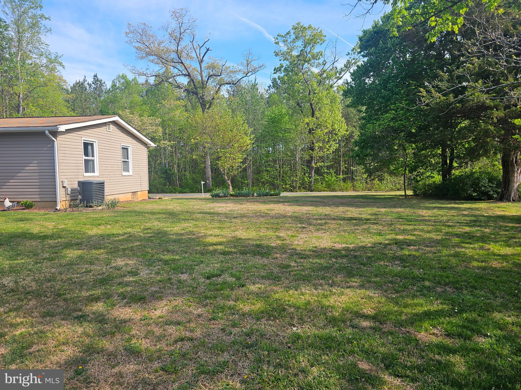 8421 Pamunkey Road Spotsylvania, VA 22551 - Photo 43 of 47 SIDE YARD
