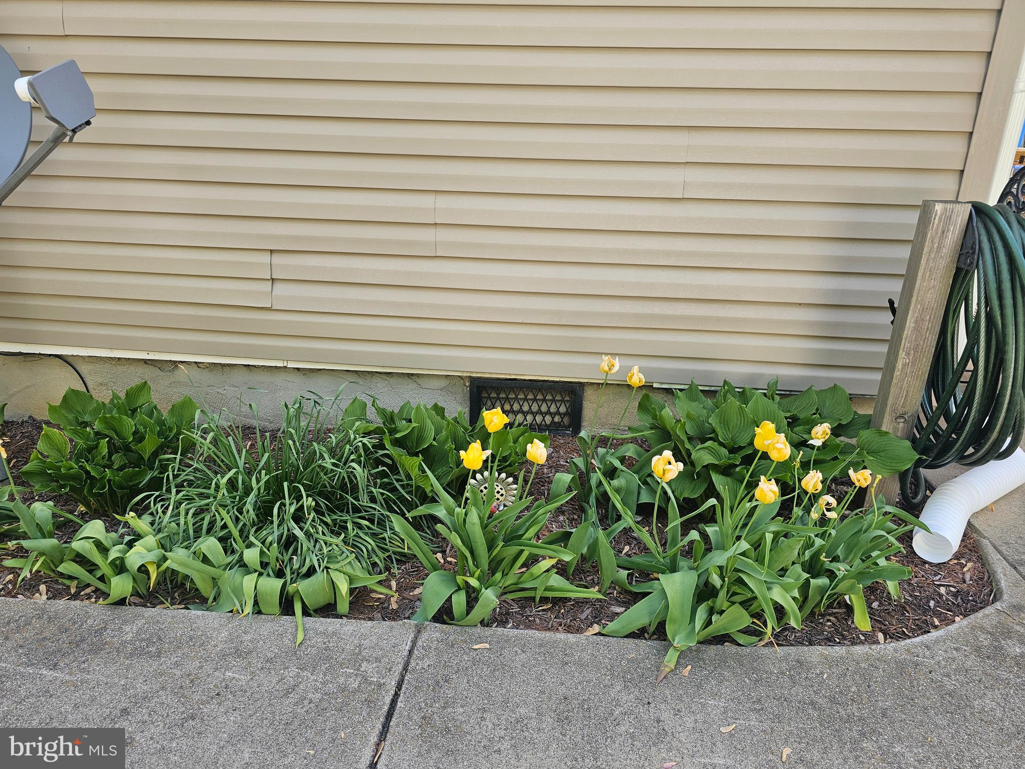 8421 Pamunkey Road Spotsylvania, VA 22551 - Photo 7 of 47 SIDE YARD GARDEN