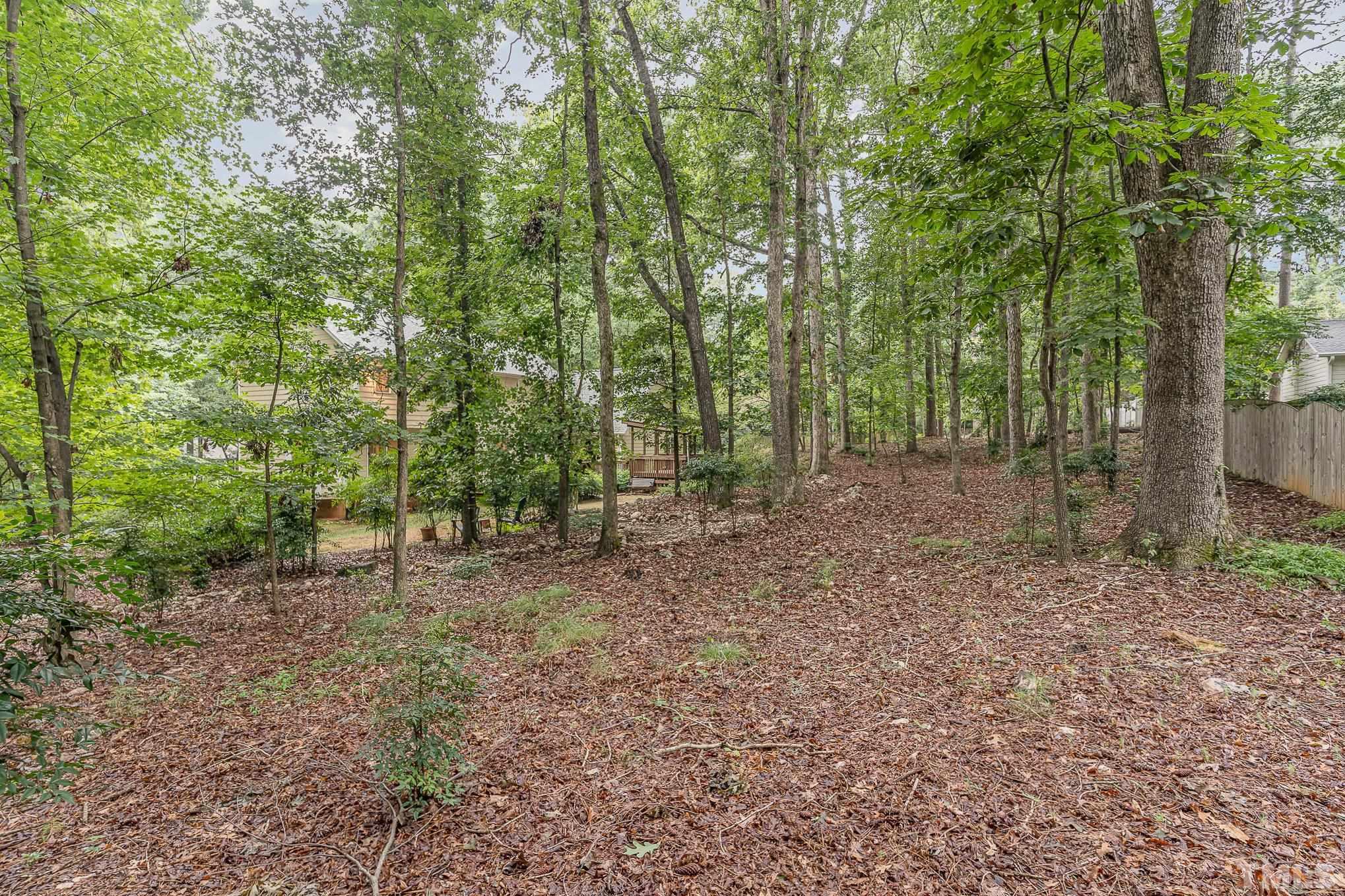 4909 Springwood Drive Raleigh, NC 27613 - Photo 54 of 59 a view of a forest with trees in the background