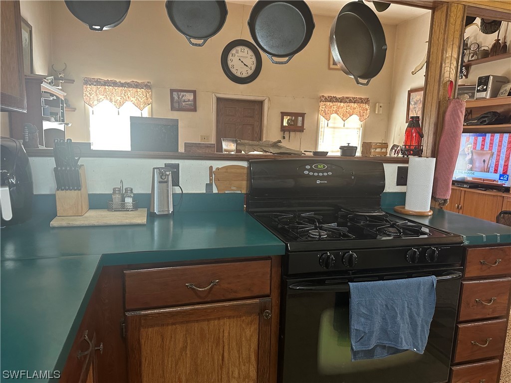 22841 North River Road Alva, FL 33920 - Photo 17 of 23 a kitchen with stainless steel appliances granite countertop a stove and a microwave with granite countertops