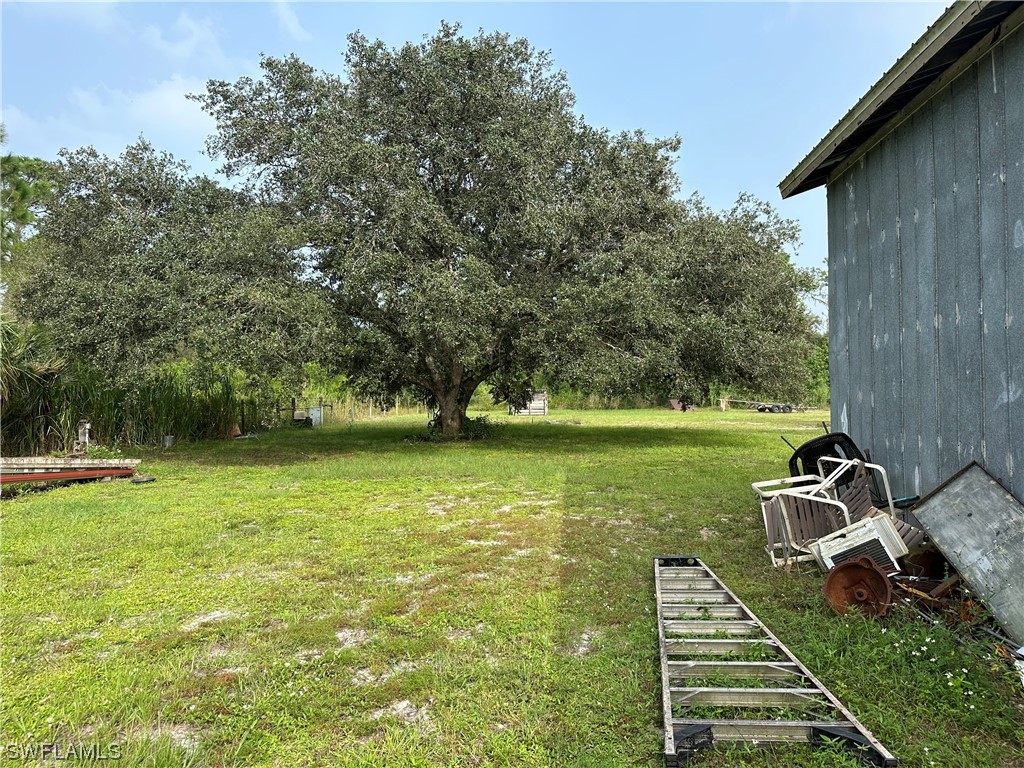 22841 North River Road Alva, FL 33920 - Photo 9 of 23 a view of a park with large trees