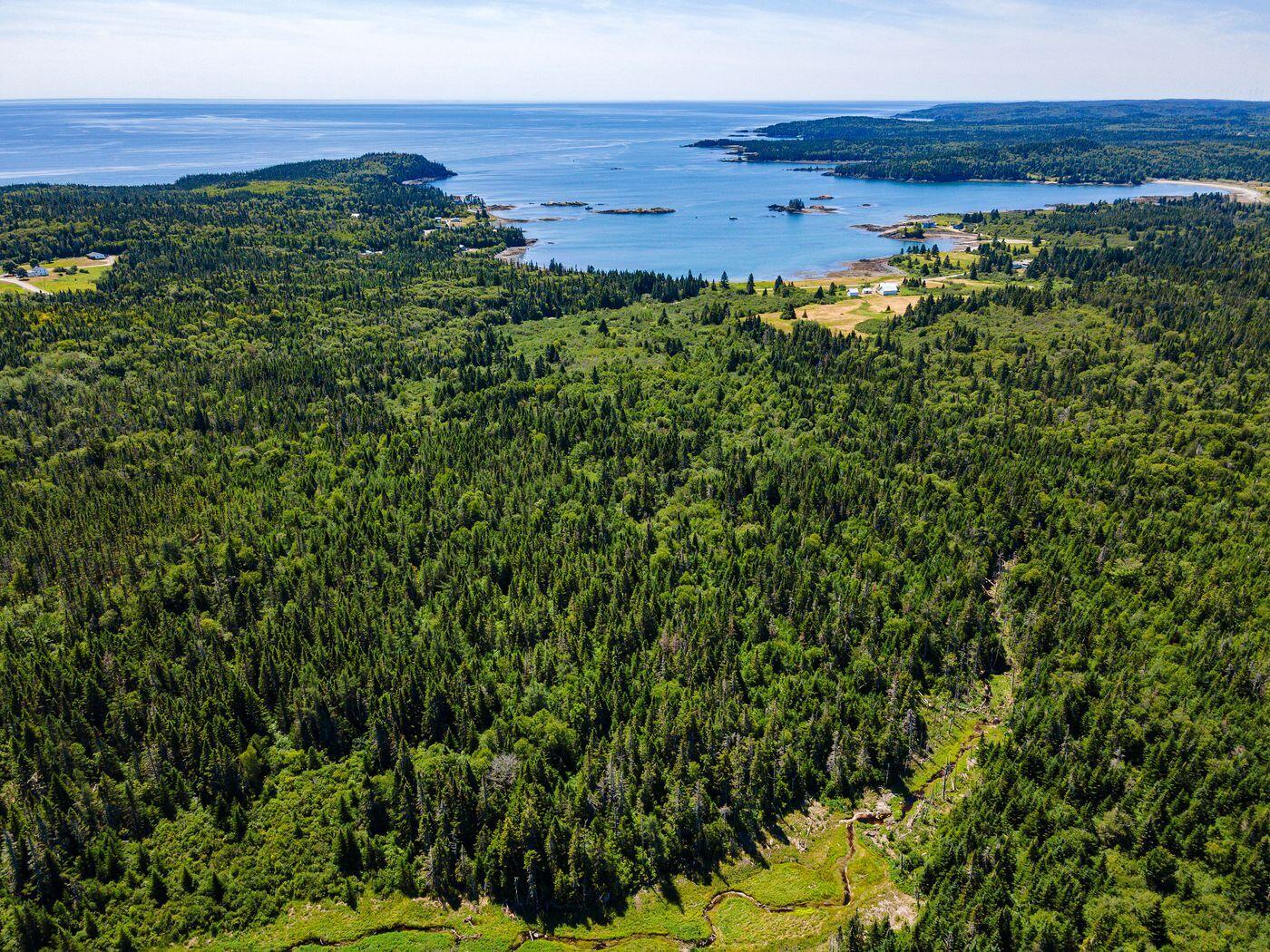 1047 Boot Cove Road Lubec, ME 04652 - Photo 56 of 57