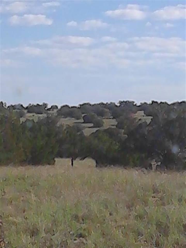 Lot 360 Woodridge Ranch Concho, AZ 85924 - Photo 2 of 6