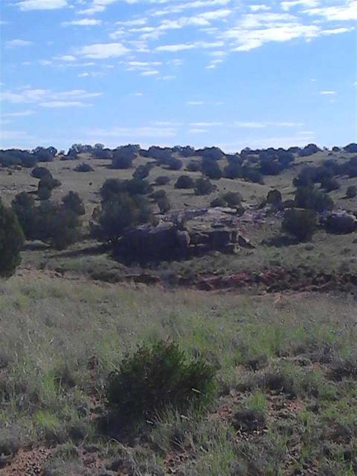 Lot 360 Woodridge Ranch Concho, AZ 85924 - Photo 3 of 6