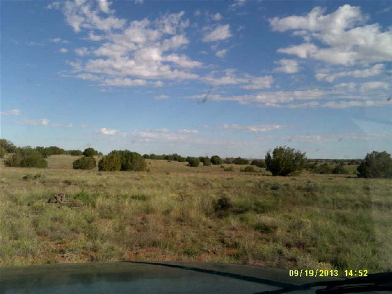 Lot 360 Woodridge Ranch Concho, AZ 85924 - Photo 5 of 6