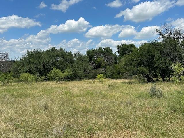 -tract 19 165 County Road Blanket, TX 76474 - Photo 1 of 11 Live Oak Trees