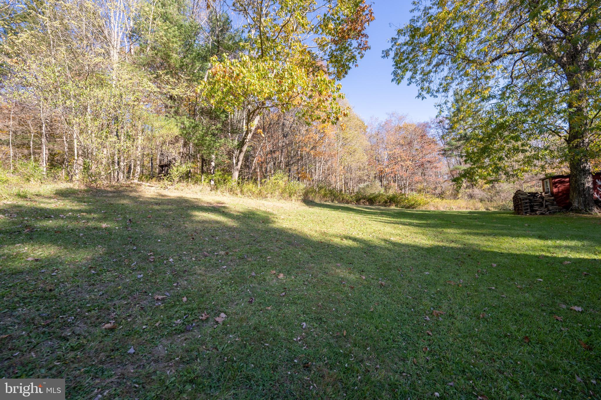63 Wallman Road Oakland, MD 21550 - Photo 12 of 60 a view of a field with large trees