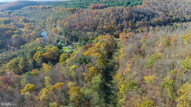 a front view of a house with a yard and green space