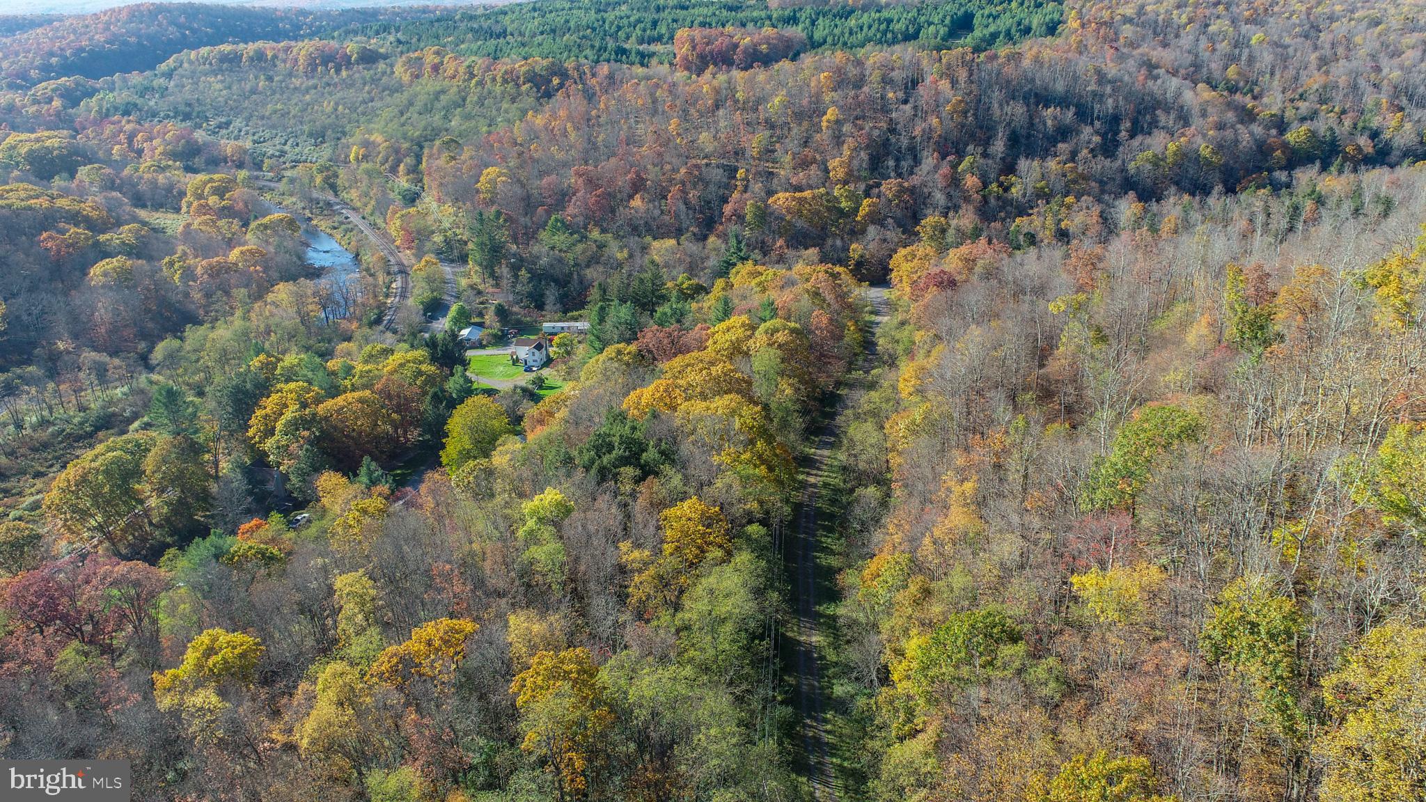 63 Wallman Road Oakland, MD 21550 - Photo 4 of 60 a view of a lake with lots of trees