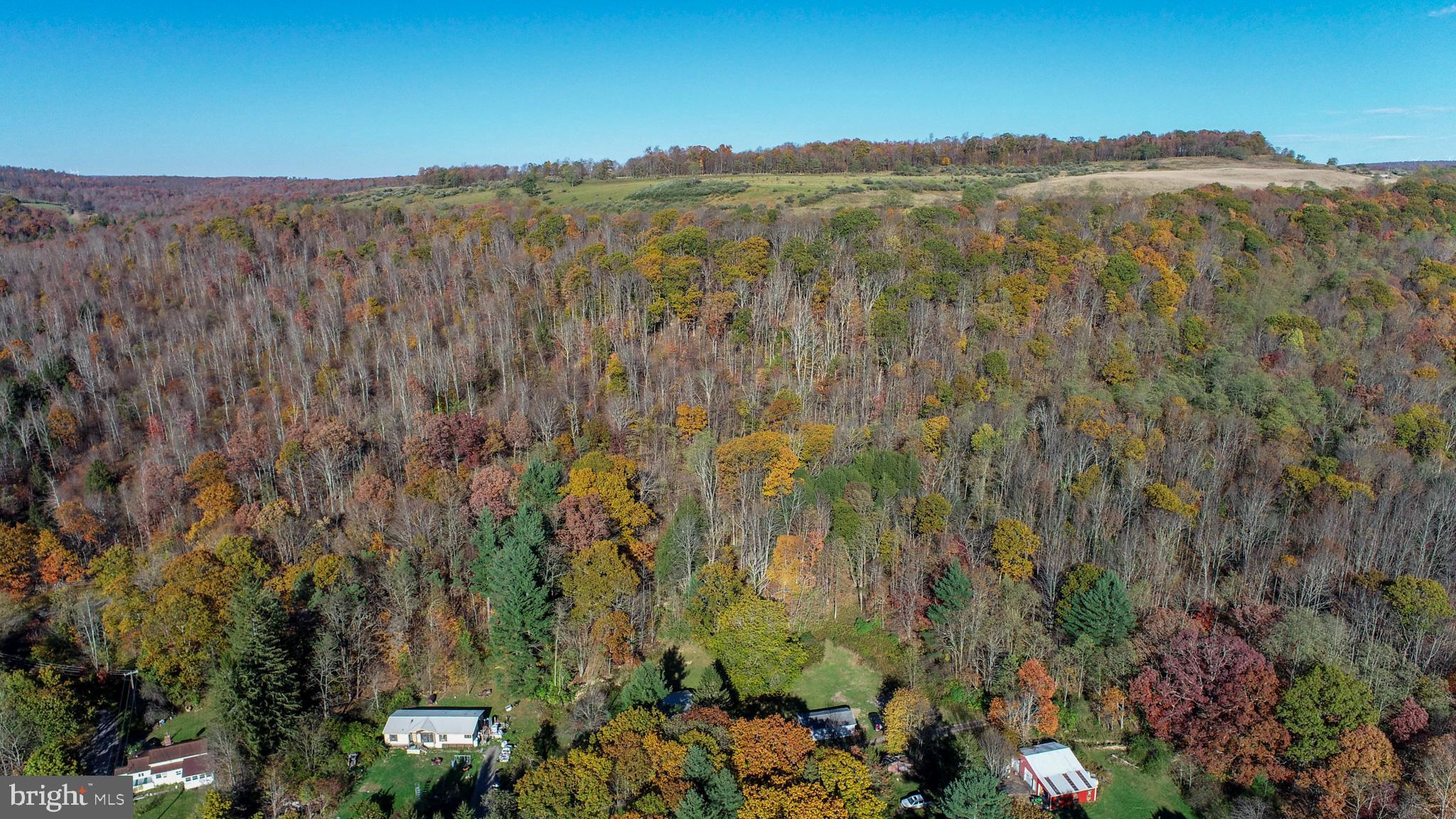 63 Wallman Road Oakland, MD 21550 - Photo 60 of 60 a view of a city with lush green forest