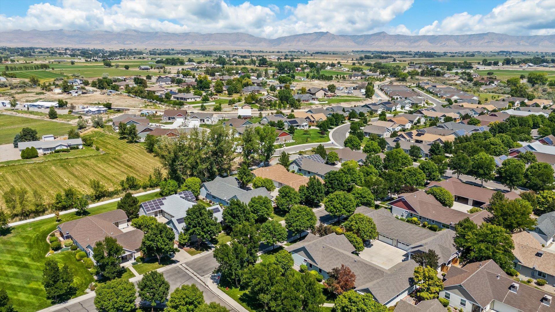 1115 Sunrose Lane Fruita, CO 81521 - Photo 32 of 32 an aerial view of residential houses with outdoor space and trees