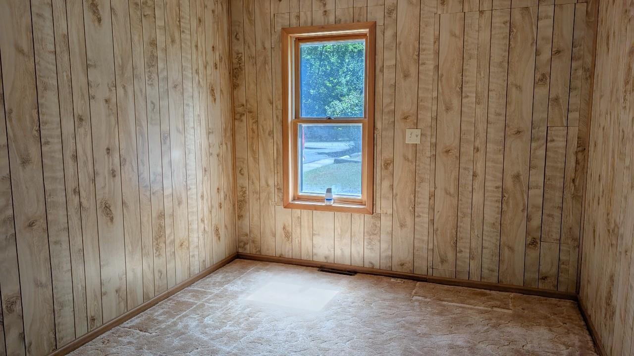 8159 Ludlow Road Cook, MN 55723 - Photo 6 of 32 Unfurnished room with wood walls and carpet floors