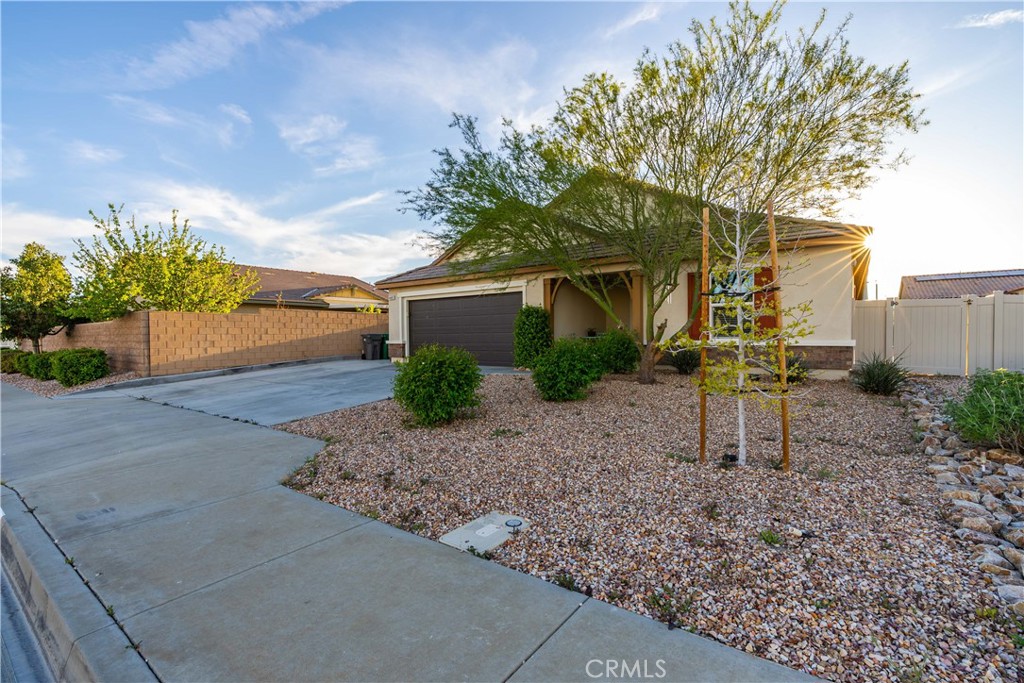 44451 63rd Street West Lancaster, CA 93536 - Photo 45 of 47 a view of a yard with plants and a tree