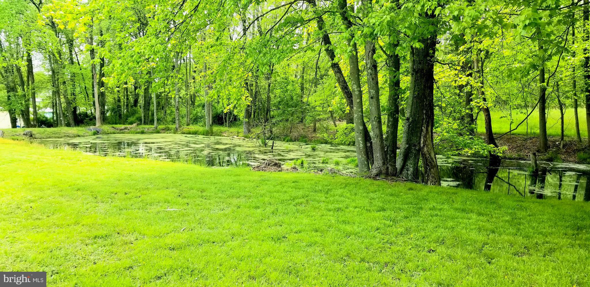 4008 Lee Road Aberdeen, MD 21001 - Photo 6 of 32 Pond