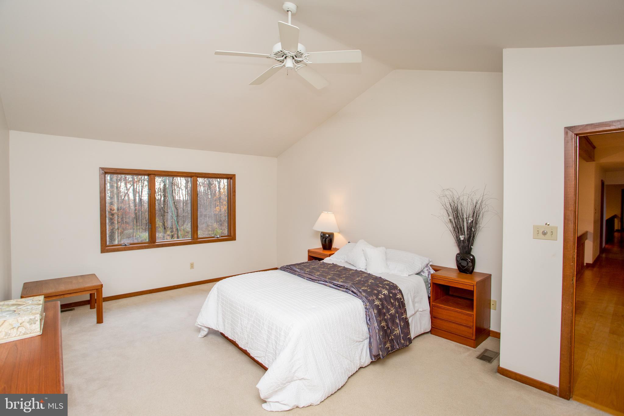 786 Ridge Road Telford, PA 18969 - Photo 59 of 105 Master bedroom