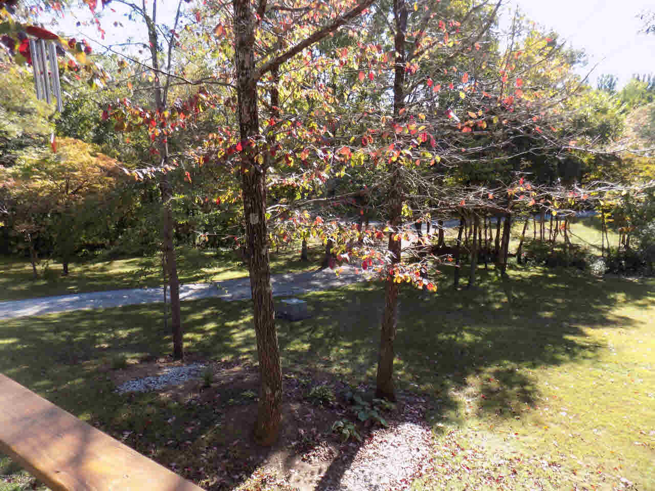 21206 Holmes Road Creal Springs, IL 62922 - Photo 17 of 32