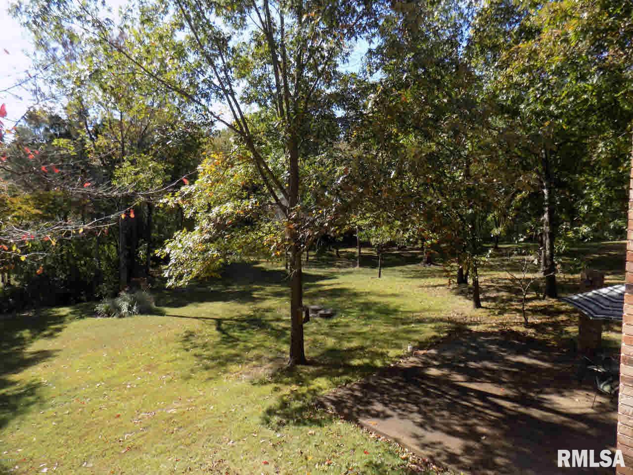 21206 Holmes Road Creal Springs, IL 62922 - Photo 18 of 32
