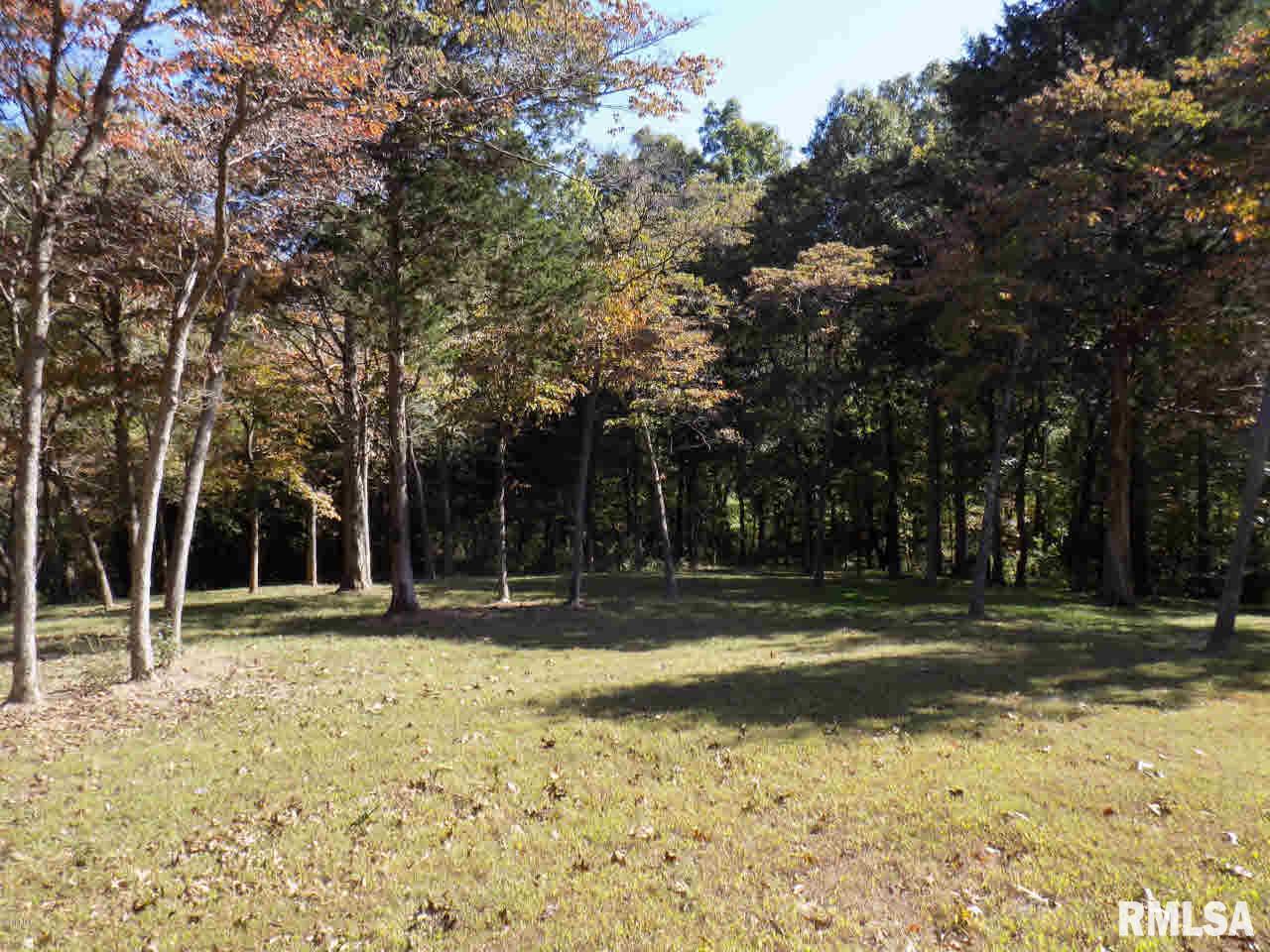 21206 Holmes Road Creal Springs, IL 62922 - Photo 31 of 32