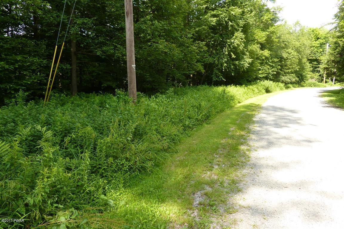 Lot 27 Beech Road Equinunk, PA 18417 - Photo 2 of 5