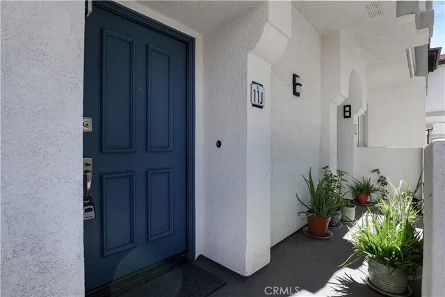 a potted plant sitting in front of a door