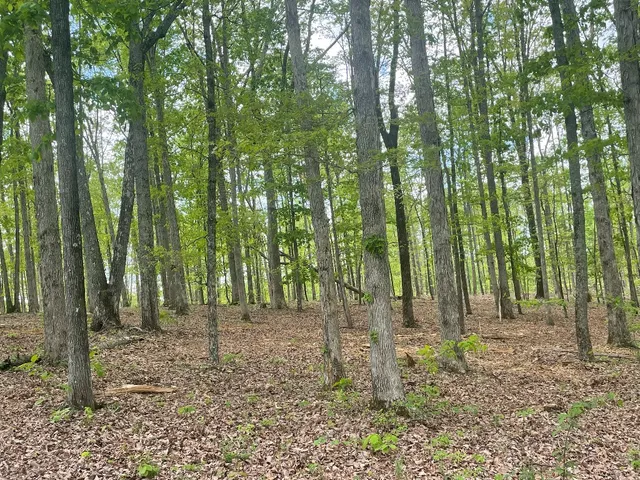 a view of outdoor space with green space