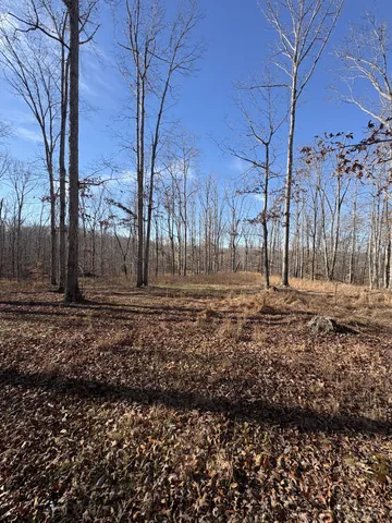 a view of yard covered with snow