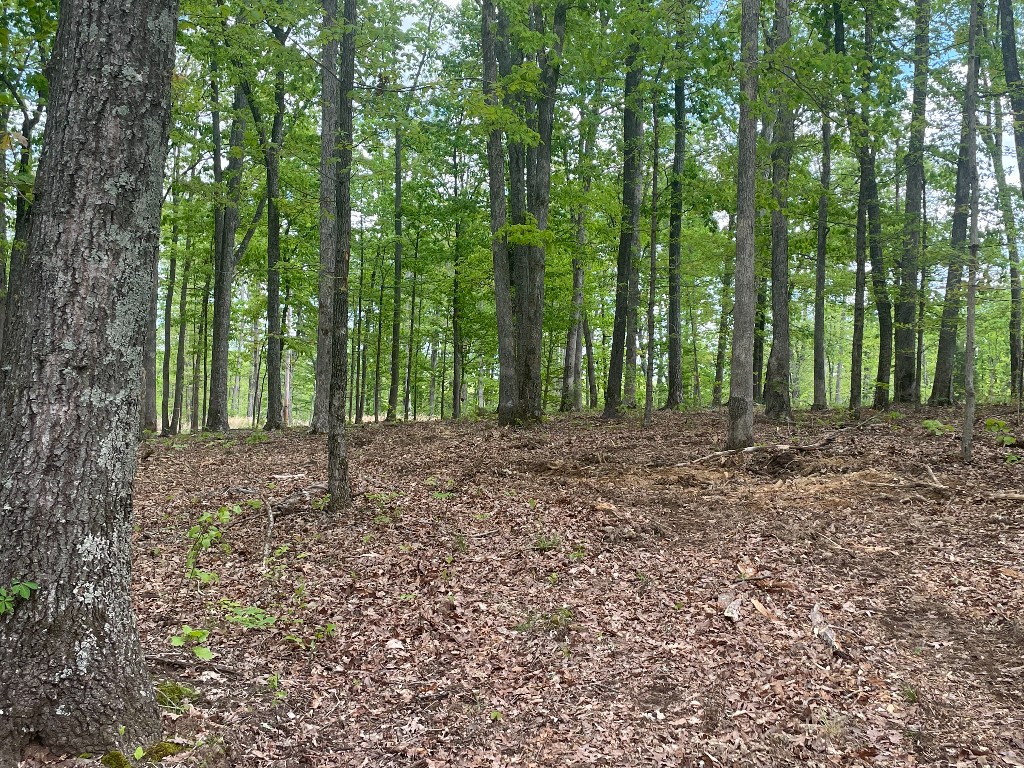 133 Shelton Cemetery Road Cumberland Furnace, TN 37051 - Photo 4 of 7 a view of outdoor space and green space