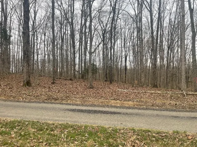 a view of wooden fence and trees in the background