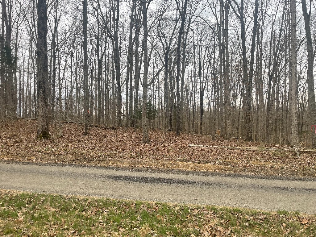 133 Shelton Cemetery Road Cumberland Furnace, TN 37051 - Photo 6 of 7 a view of wooden fence and trees in the background