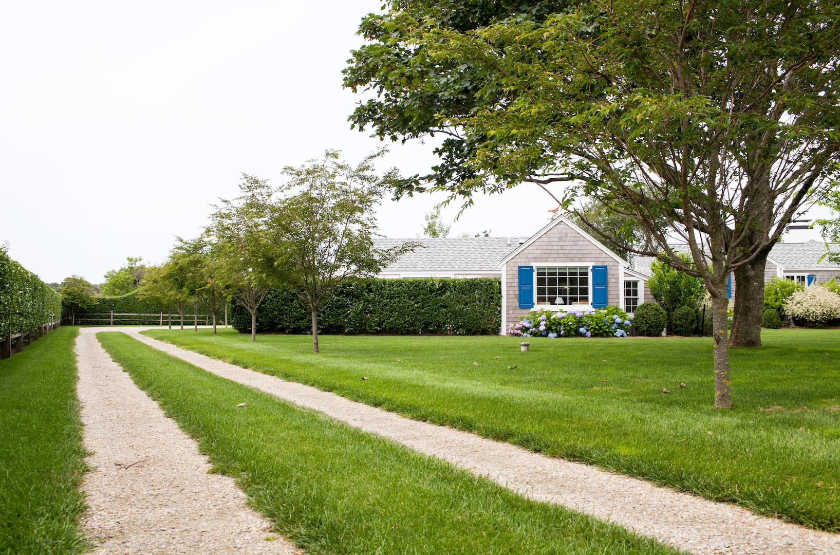 6 Gardner Road Nantucket, MA 02554 - Photo 59 of 62 Tree-lined driveway leading to the parking area and front gate
