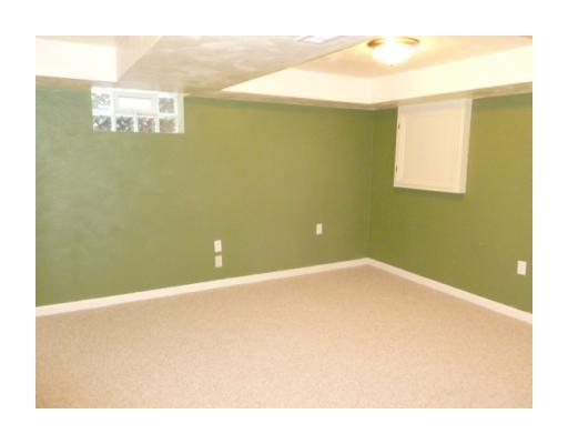 207 Rockingham Road Pittsburgh, PA 15238 - Photo 13 of 18 Bedroom. Lower level bedroom with large closet and full bath