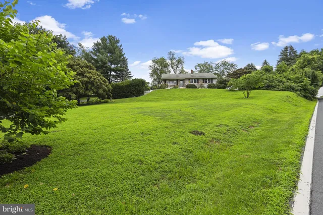 a view of a field with plants and trees all around