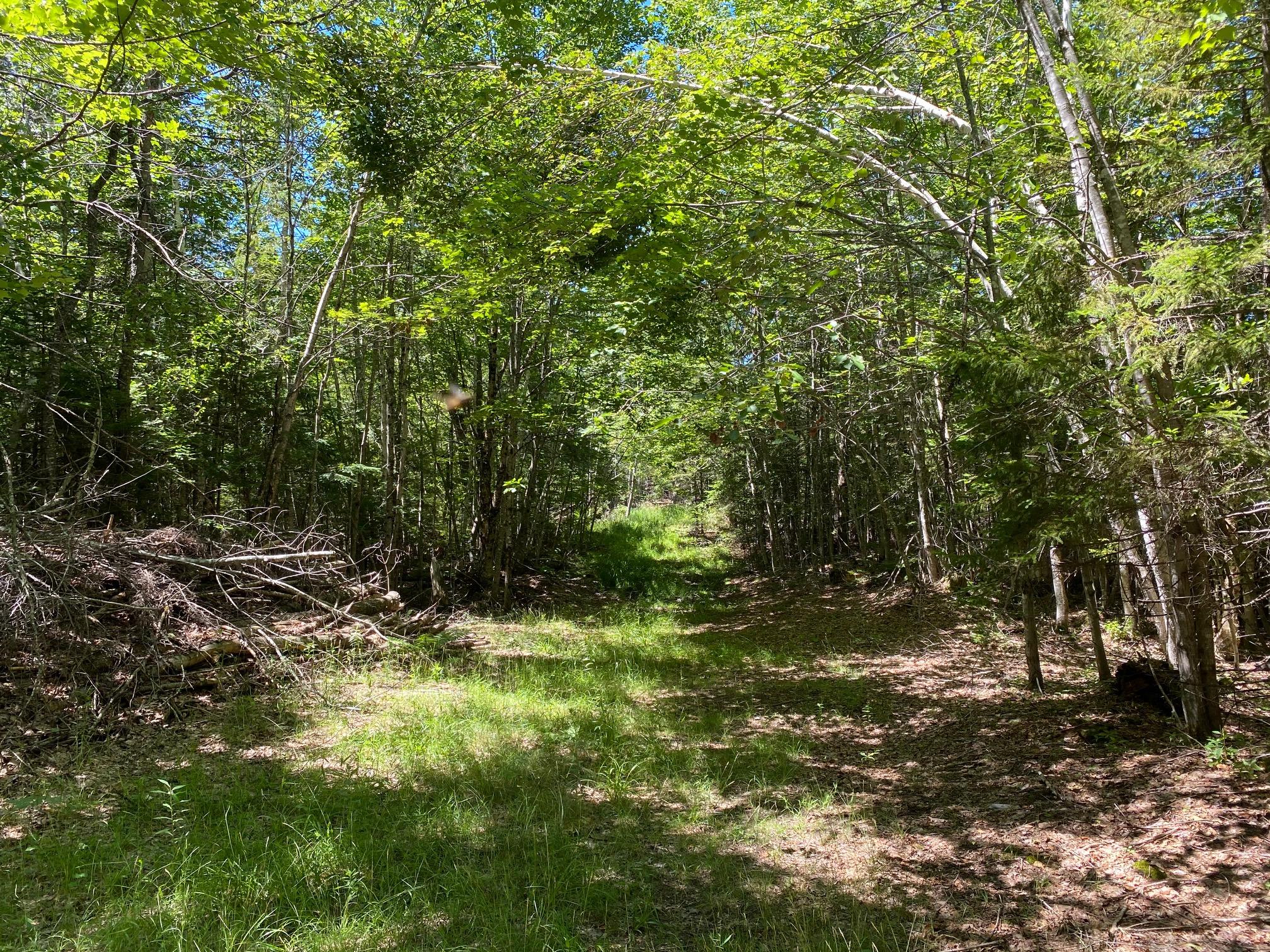 2255 Dexter Road Dover-Foxcroft, ME 04426 - Photo 23 of 28 23