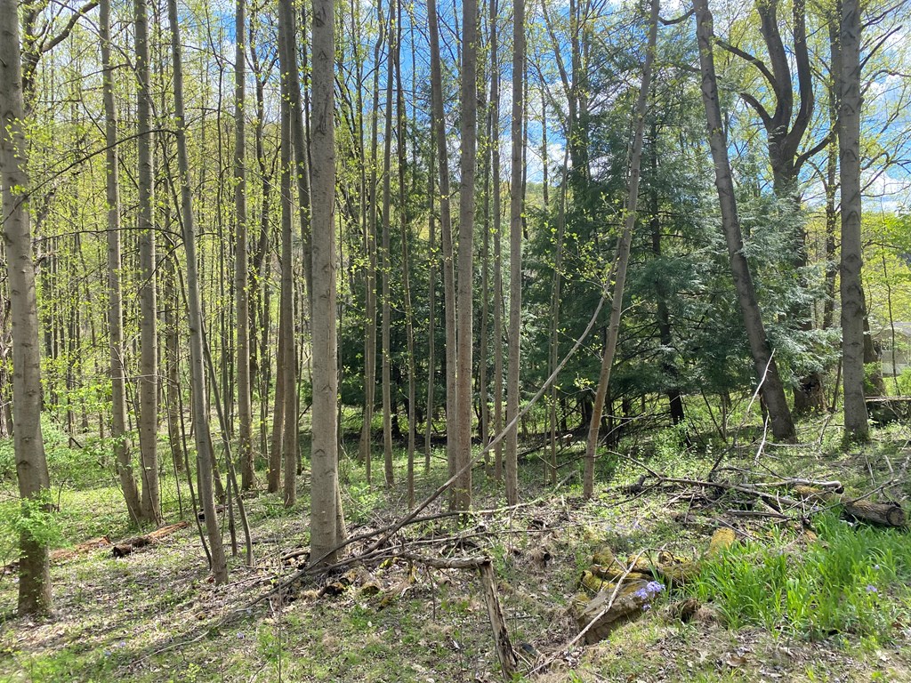 . Hillville Road Parker, PA 16049 - Photo 7 of 8