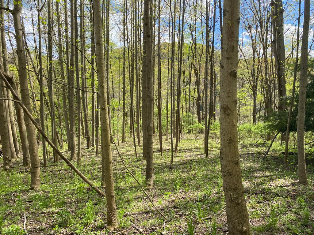 . Hillville Road Parker, PA 16049 - Photo 8 of 8