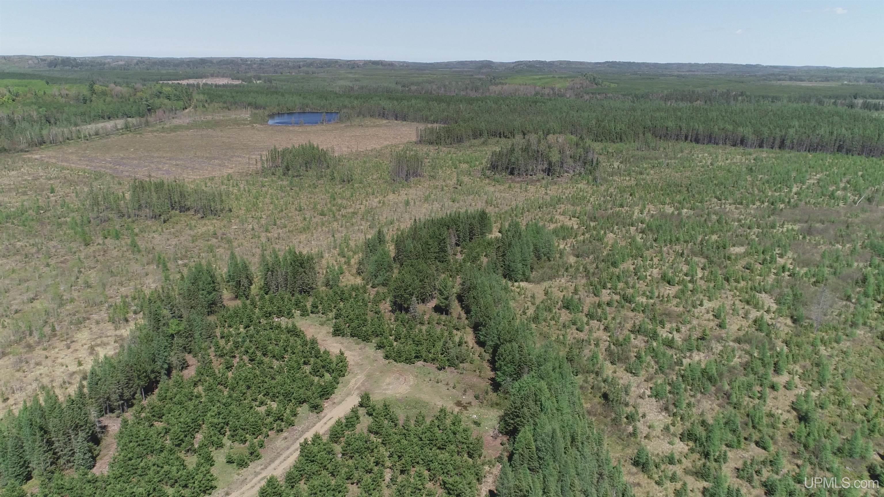 58-acres Co Rd Fn Road Champion, MI 49814 - Photo 7 of 27