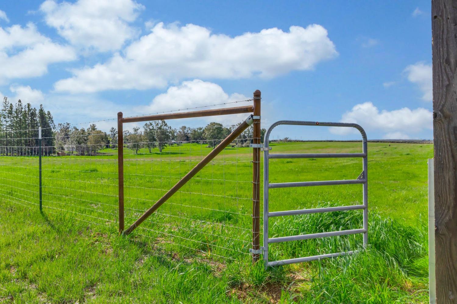 0 Alta Mesa Road Wilton, CA 95693 - Photo 13 of 15