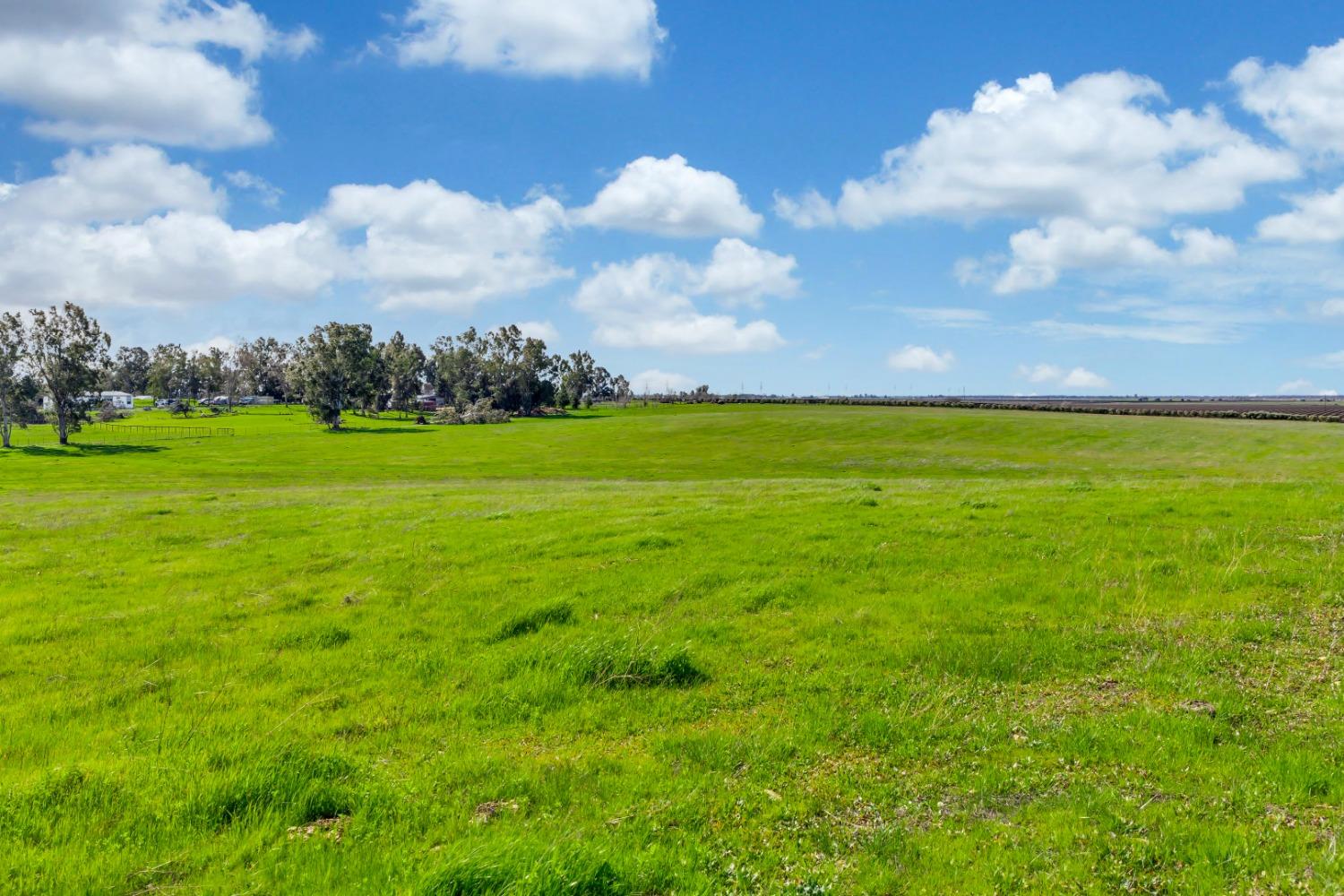 0 Alta Mesa Road Wilton, CA 95693 - Photo 10 of 15