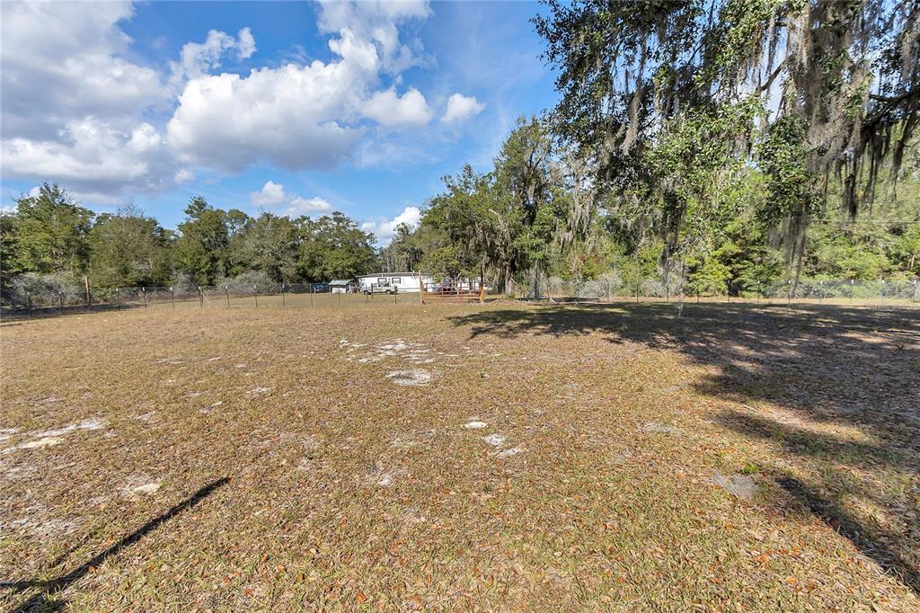 3003 Northeast 165th Lane Citra, FL 32113 - Photo 22 of 40 a view of a field with trees in background