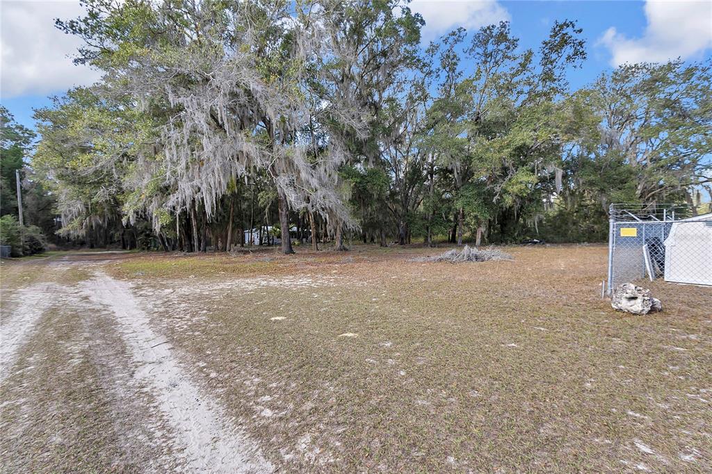 3003 Northeast 165th Lane Citra, FL 32113 - Photo 32 of 40 a view of outdoor space with trees