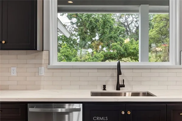 a sink with a granite countertop cabinets and a potted plant