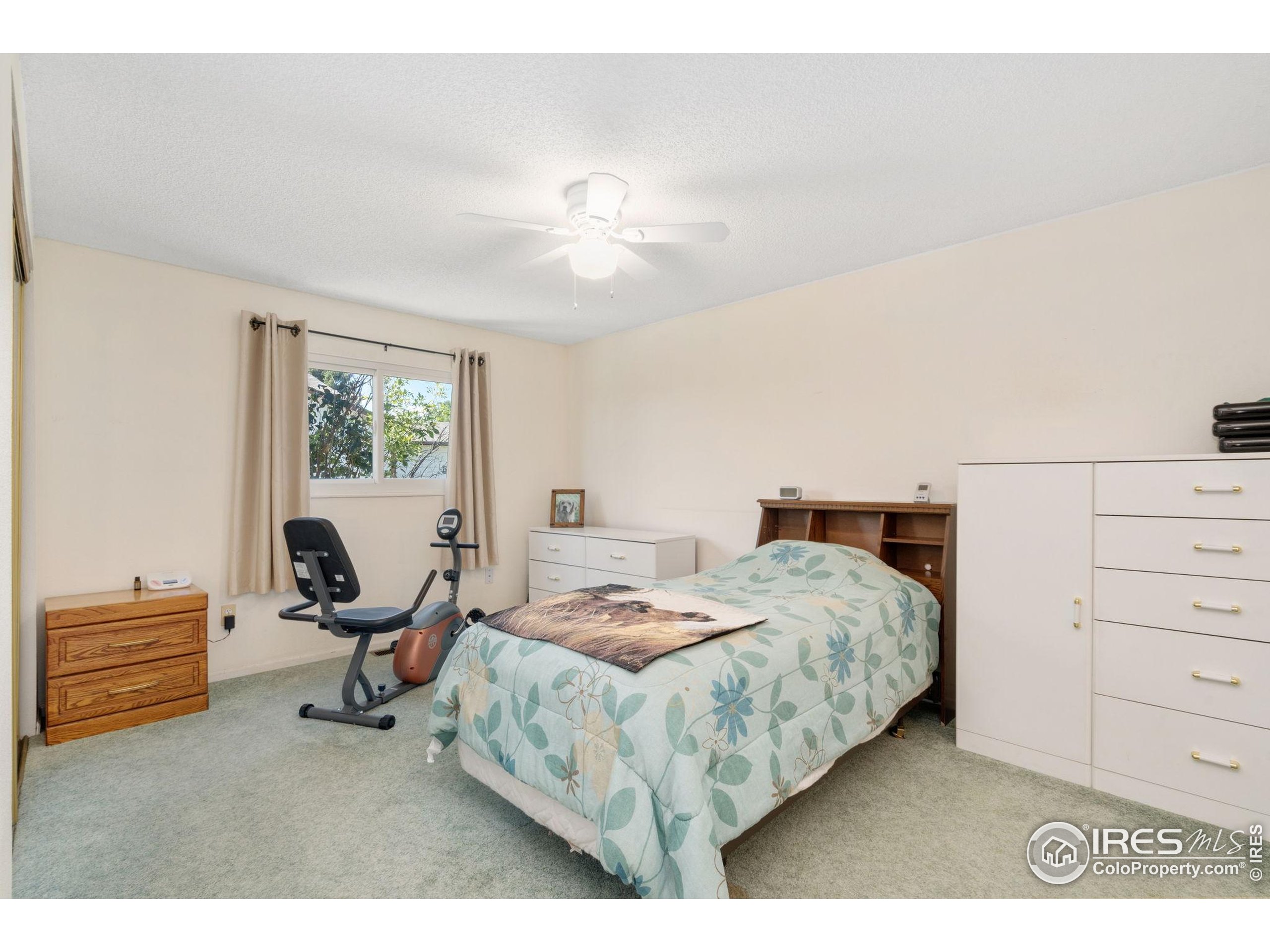 1750 South Estrella Avenue Loveland, CO 80537 - Photo 15 of 46