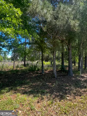 $10,000 | 146 Arlington Drive, Americus, GA 31709