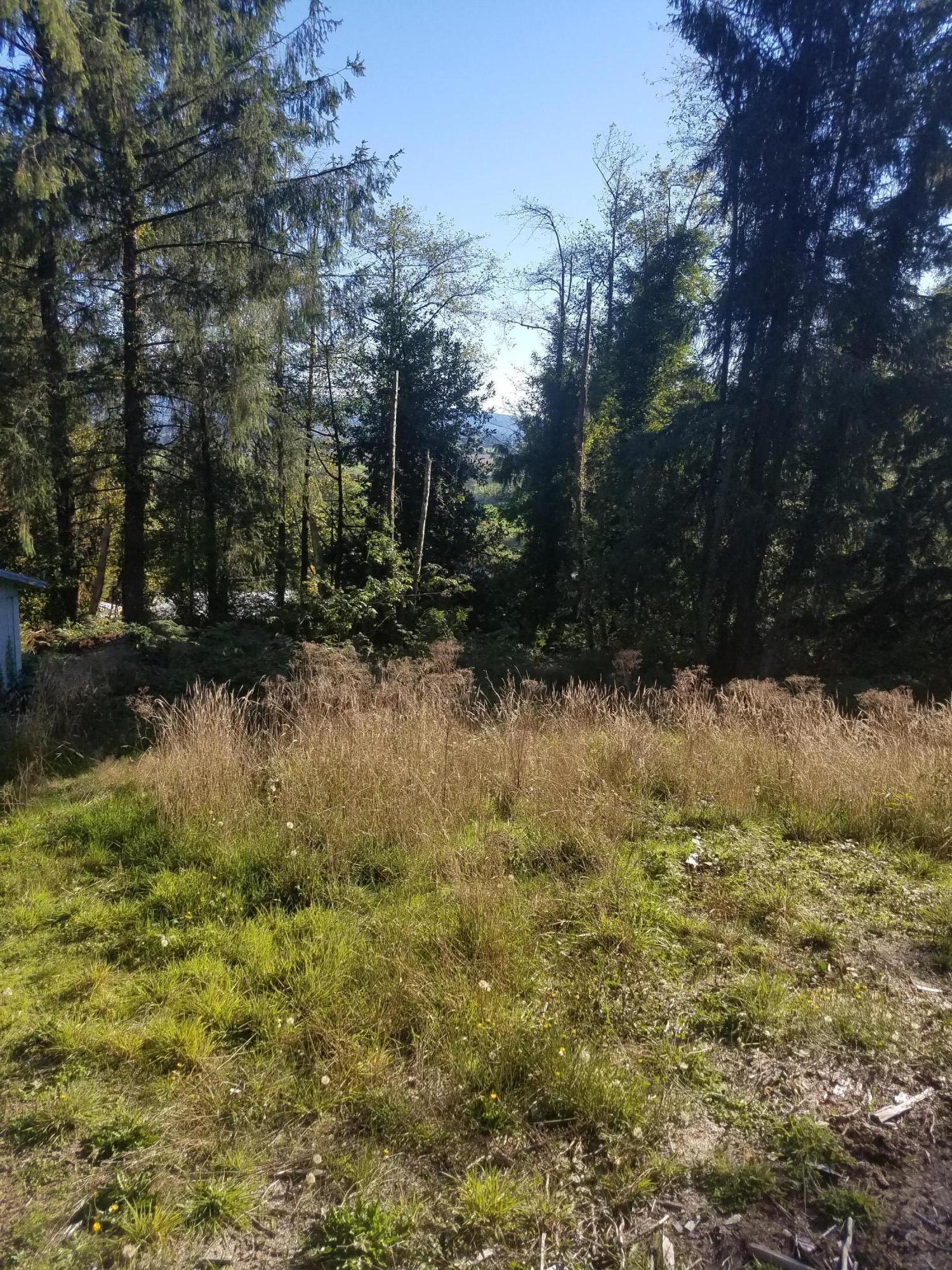 Vl Aldercrest Road Tillamook, OR 97141 - Photo 4 of 9 20181015_154326