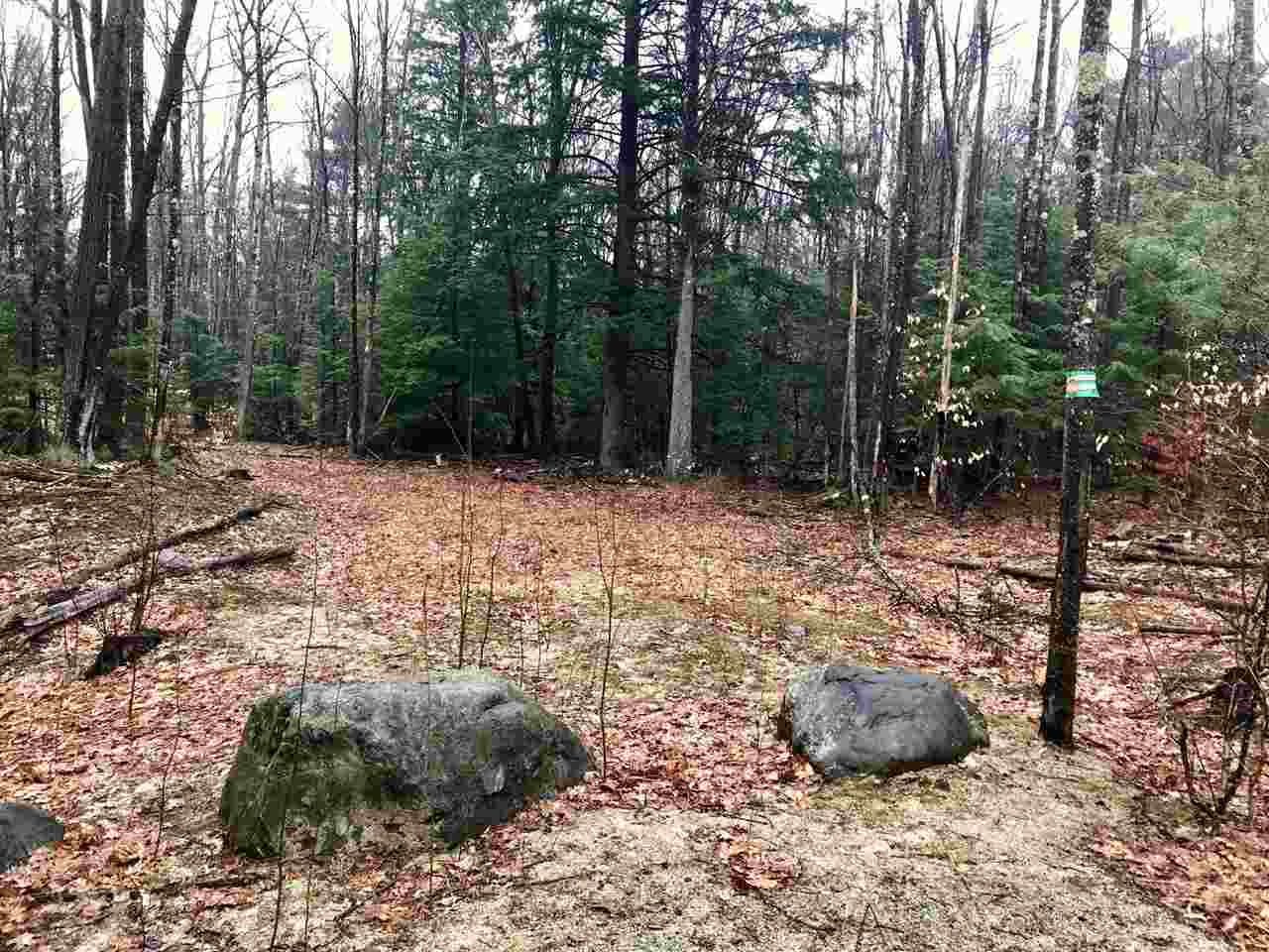 0 Old County Road North, Unit LOT 18 Deering, NH 03244 - Photo 2 of 9 Gallery Image 2