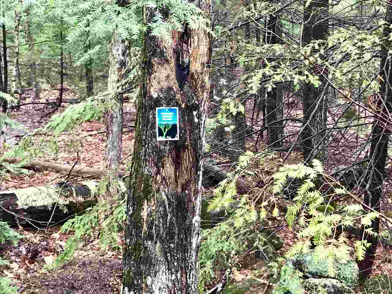 0 Old County Road North, Unit LOT 18 Deering, NH 03244 - Photo 4 of 9 Gallery Image 4