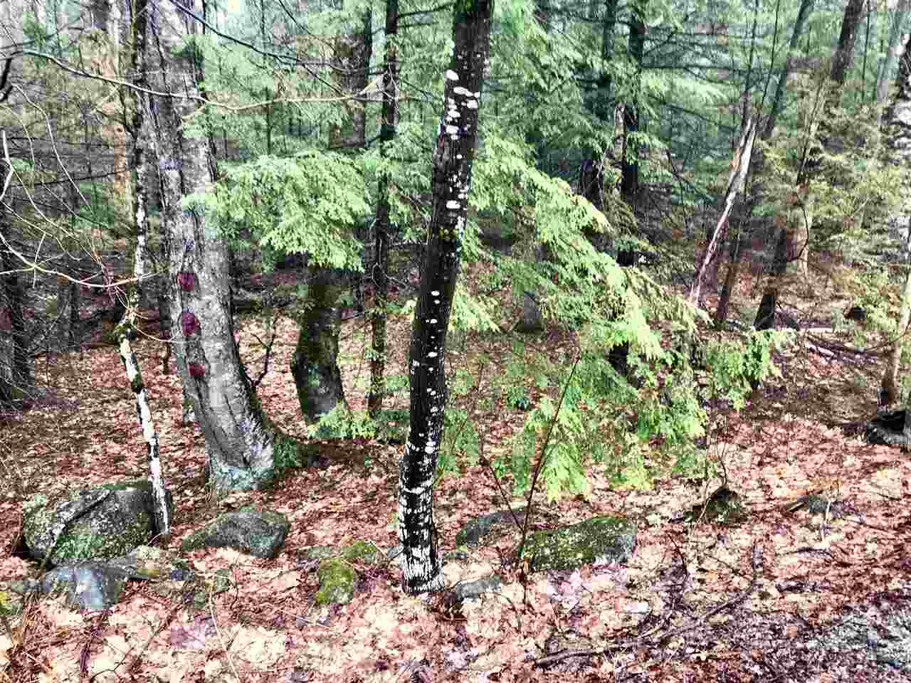 0 Old County Road North, Unit LOT 18 Deering, NH 03244 - Photo 5 of 9 Gallery Image 5