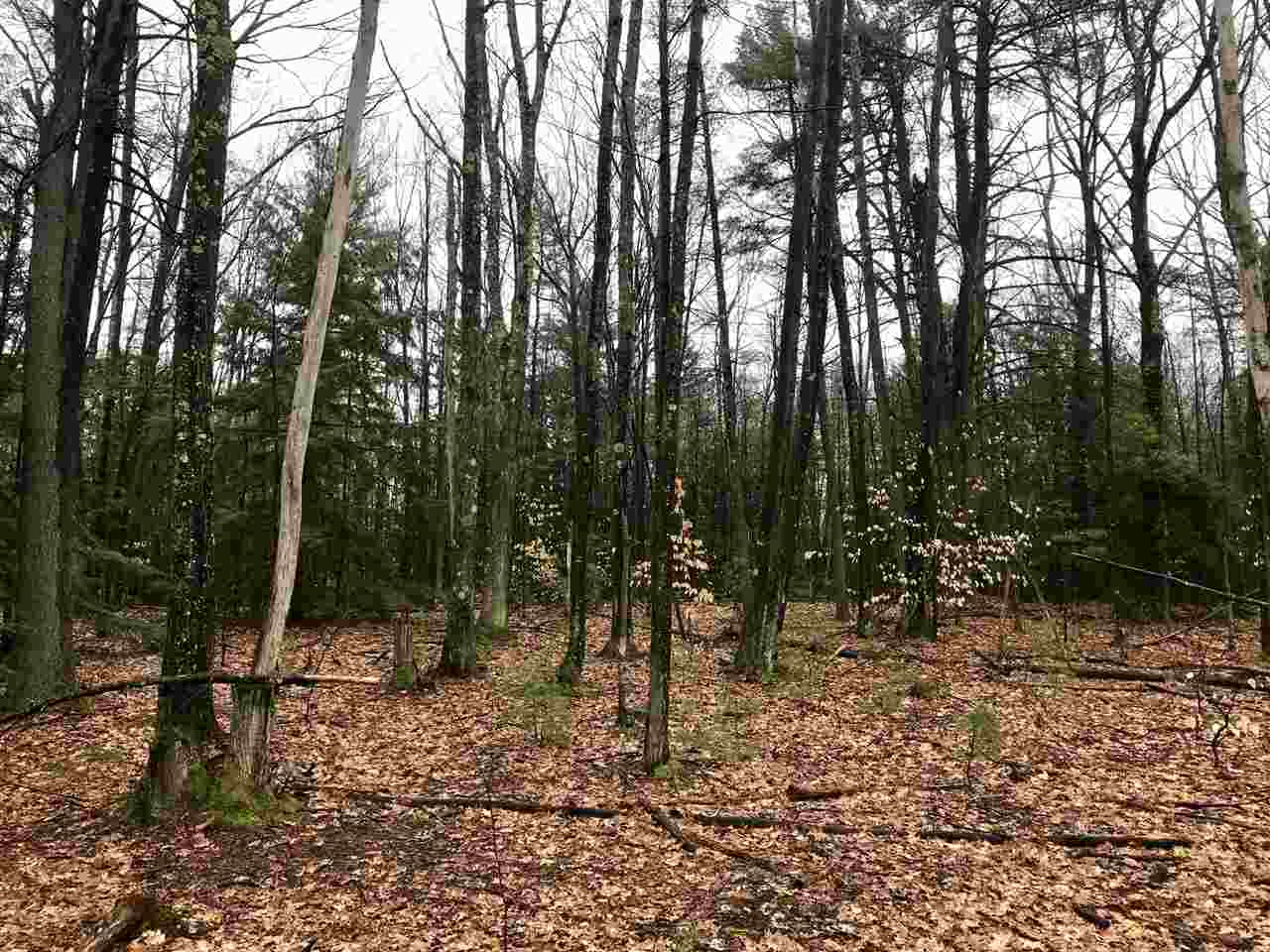 0 Old County Road North, Unit LOT 18 Deering, NH 03244 - Photo 8 of 9 Gallery Image 8